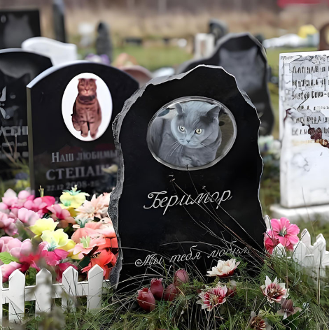 ¿Por qué deberíamos considerar un Memorial de mascotas?